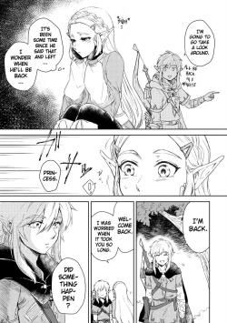 Page 2 of Saiba Breath of the Wild Collection