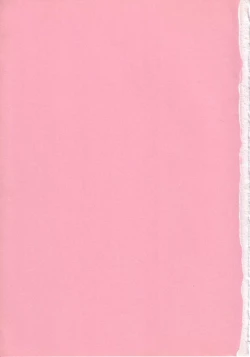 Page 4 of Ryougoku no Shima