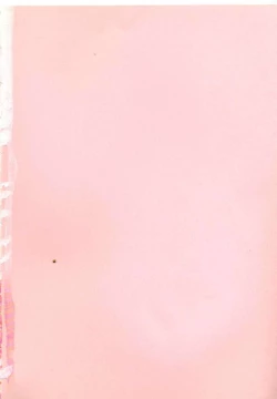 Page 8 of Accel Bomber