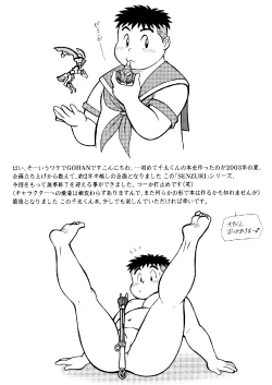 Page 2 of SENZURI IV