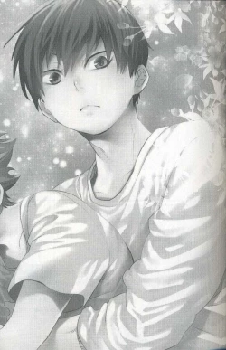 Page 2 of Sakasama Seesaw | Seesaw of Opposites?