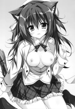 Page 2 of Kimi ha Nyanko de Osananajimi