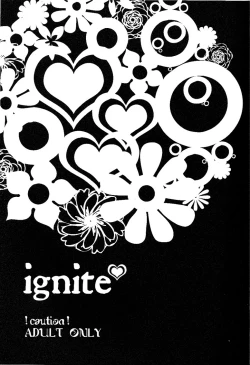 Page 2 of ignite
