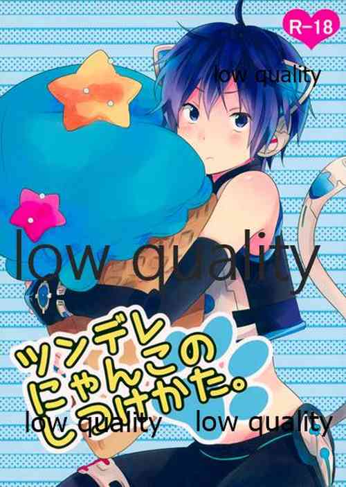 (THE VOC@LOiD M@STER 18) [hey you! (のん)] ツンデレにゃんこのしつけかた。 (VOCALOID)