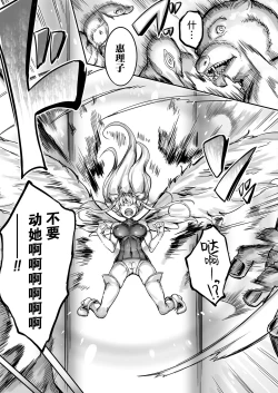 Page 108 of Seitenshi Yumiel Chaotic Rondo