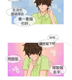 Page 8 of 小野貓馴服手冊