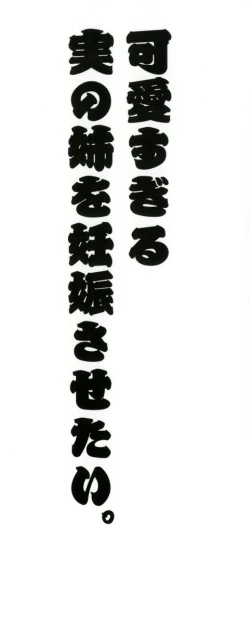 Page 2 of Oneesan de Ikou! 1