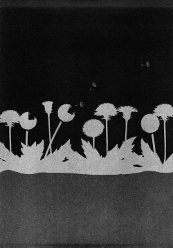 Page 207 of Tanpopo no Matsuri