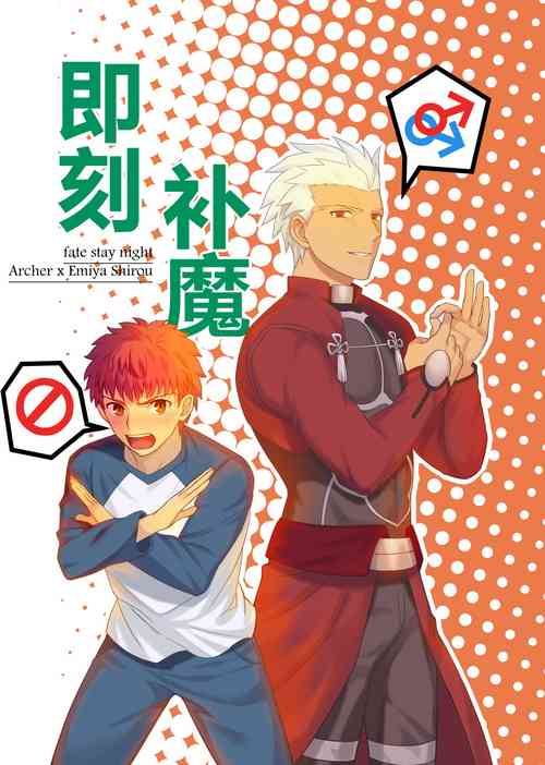Download Archer x Emiya Shirou