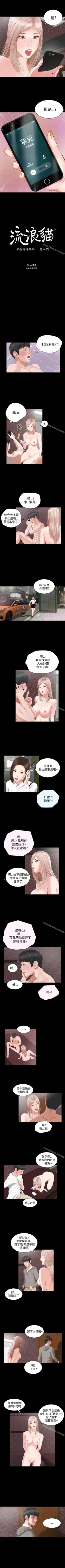 Page 17 of 流浪貓 1-40