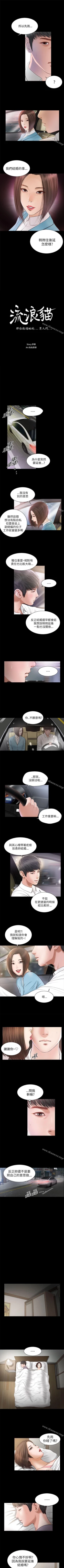 Page 37 of 流浪貓 1-40