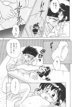 Page 13 of Sentakuya Fighter