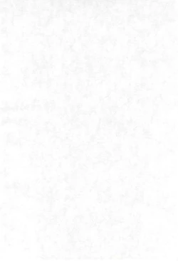 Page 50 of Ashita ga Ki ni naru 3