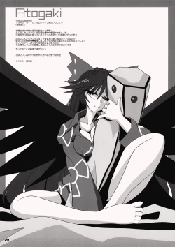 Page 30 of TOHO N+ QF