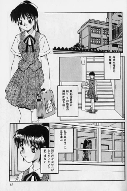 Page 86 of SMALL PACKAGE