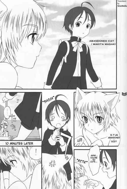 Download Suteneko | Abandoned Cat