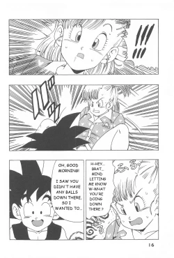 Page 16 of Bulma no Saikyou e no Michi