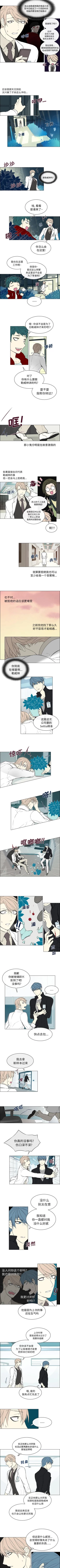 Page 29 of Settia 1-25