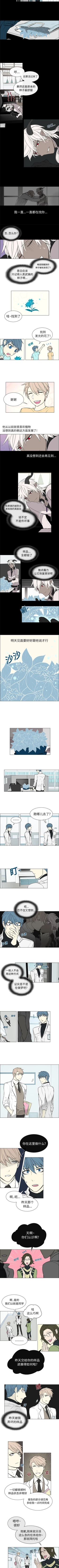 Page 4 of Settia 1-25