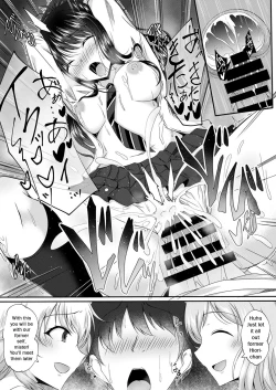 Page 13 of Illumination Swap