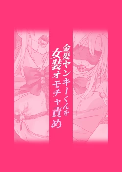 Page 22 of Kinpatsu Yankee-kun o Josou Omocha Seme