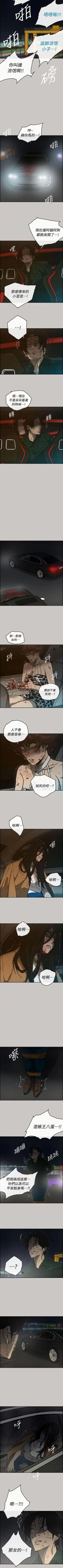 Page 245 of MAD:小姐與司機57