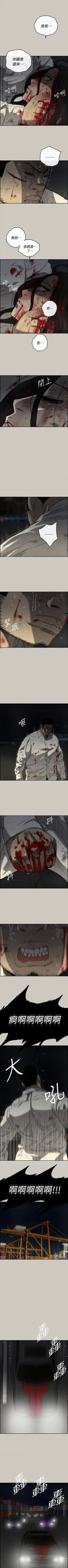 Page 262 of MAD:小姐與司機57