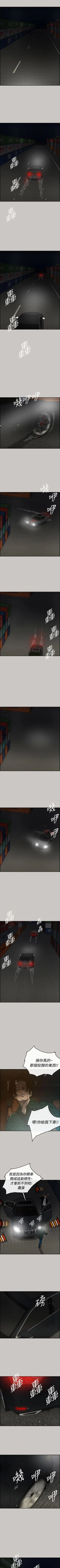 Page 271 of MAD:小姐與司機57