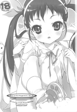 Download Prototypes 0.6 + Shiori