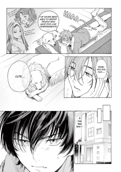 Page 26 of Fukujuu to Amagami | Hard to say I love you 1-3