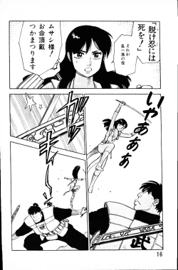 Page 15 of Dai Kaitou Musashi No 1