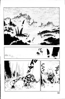 Page 53 of Dai Kaitou Musashi No 1