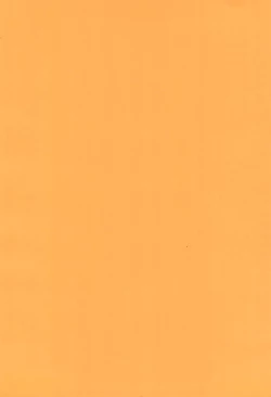 Page 4 of SAKURA H-TUNE 2