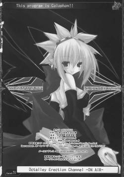 Page 25 of OCTALLEY ERECTION CHANNEL