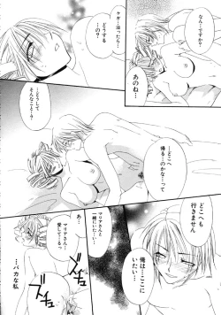 Page 115 of First Love