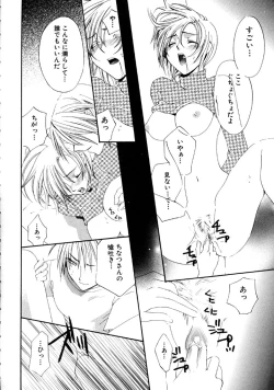 Page 33 of First Love