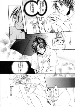 Page 41 of First Love