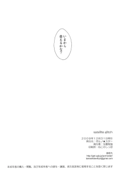 Page 29 of satellite glitch