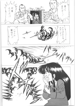 Page 24 of Sieg Heil 5