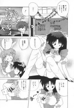 Page 33 of Punipuni Melon