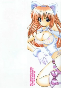 Page 3 of Punipuni Melon