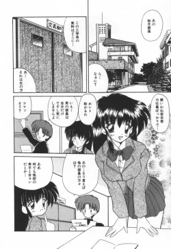 Page 44 of Punipuni Melon