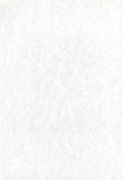 Page 3 of MANITOU SX