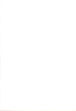 Page 41 of MANITOU SX