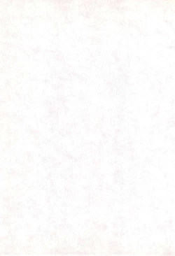 Page 2 of Kaerimichi