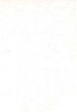 Page 3 of Kaerimichi