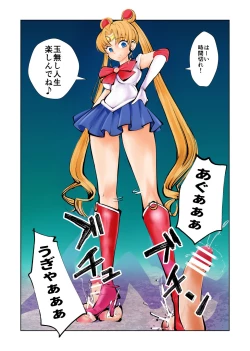 Page 3 of Nabutte! Sailor Senshi-sama
