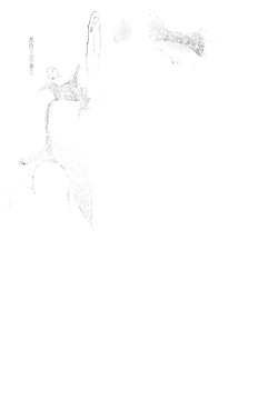 Page 2 of A witch on the wind hill