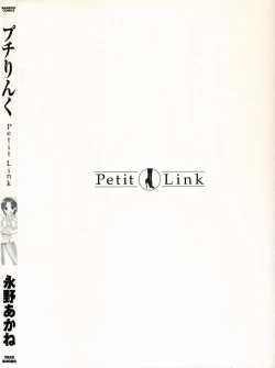 Page 100 of Petit Link