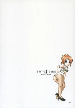 Page 37 of Petit Link